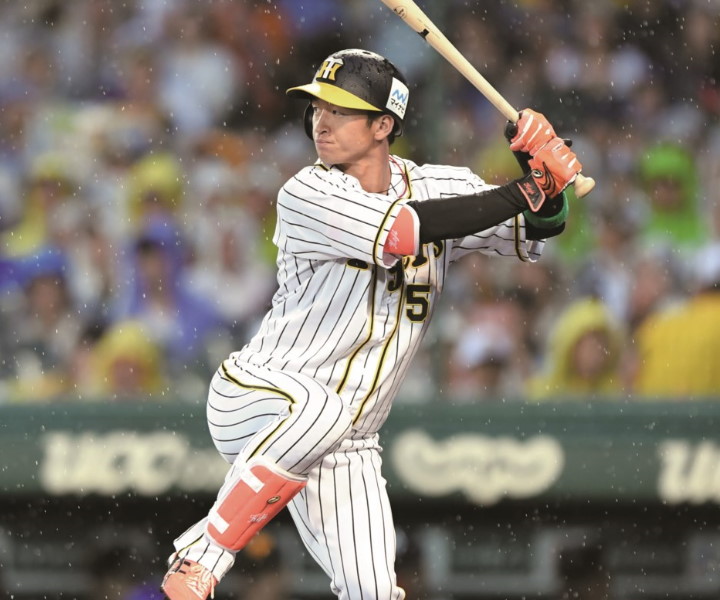 阪神・近本光司 ヤナセのバット 全体的に細く、重心が先にある体に