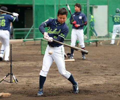 ヤクルト 山崎晃大朗・監督の背番号を継承する期待のルーキー | 野球